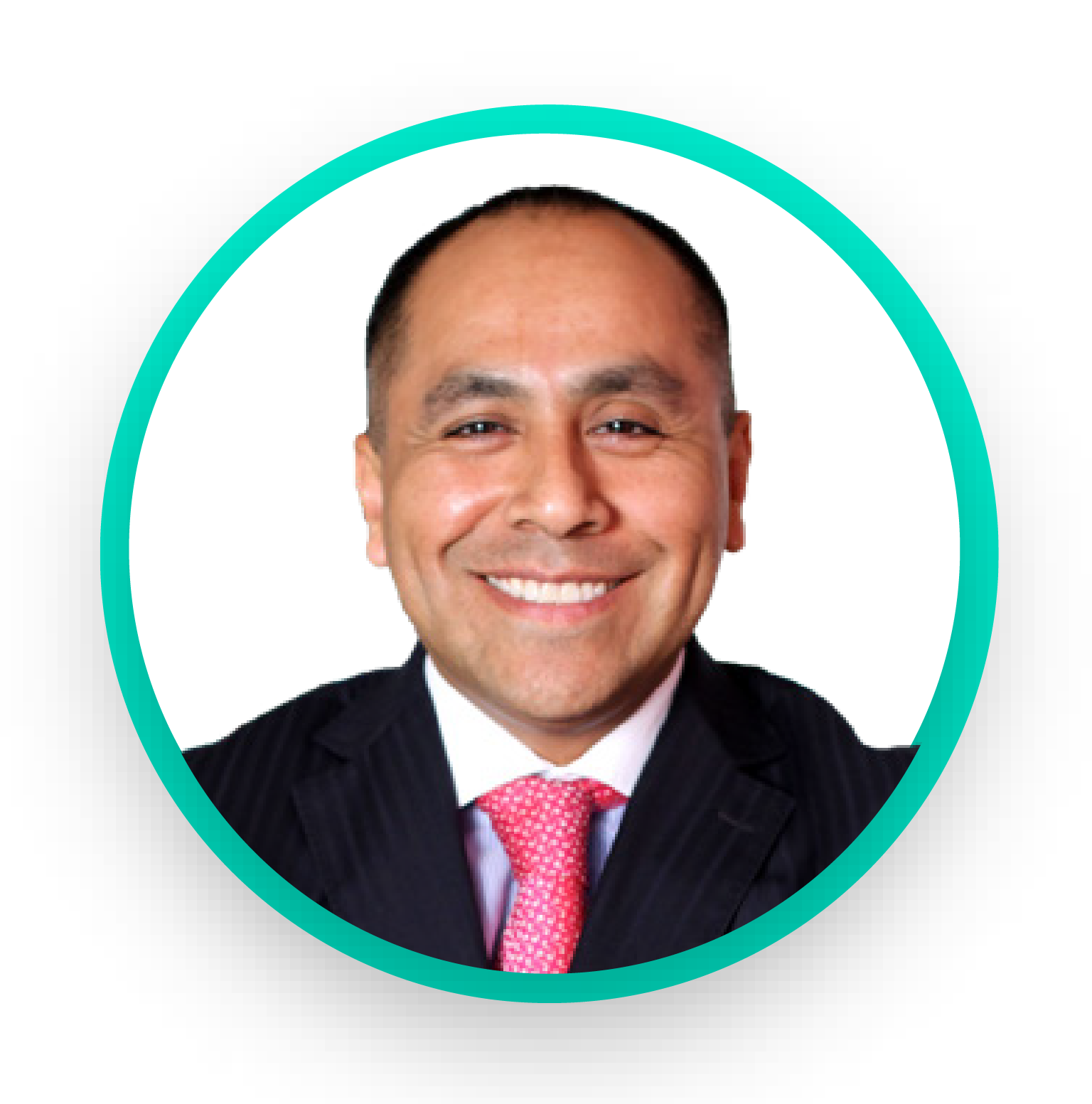 Descripción de la imagen